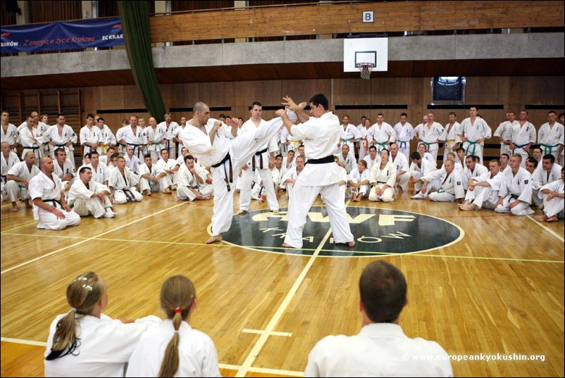 Fighting combinations