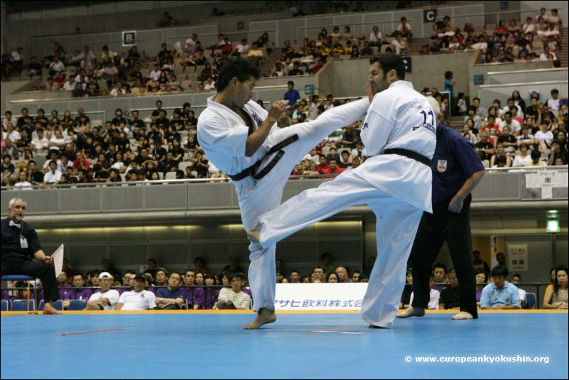 Shohei Yamamoto<br>vs Nicolae Stoian