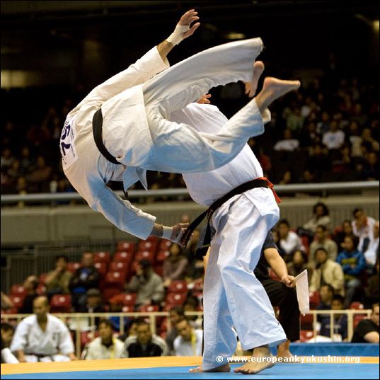 tobi<br>jodan-mawashi-geri