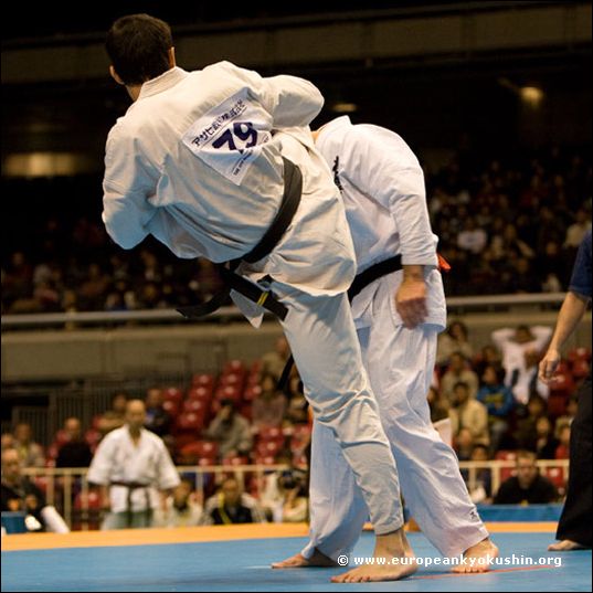 jodan-mawashi-geri<br>Ippon