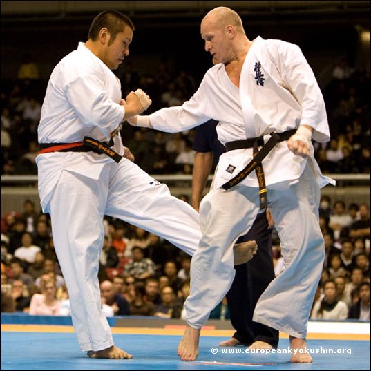 gedan-mawashi-geri