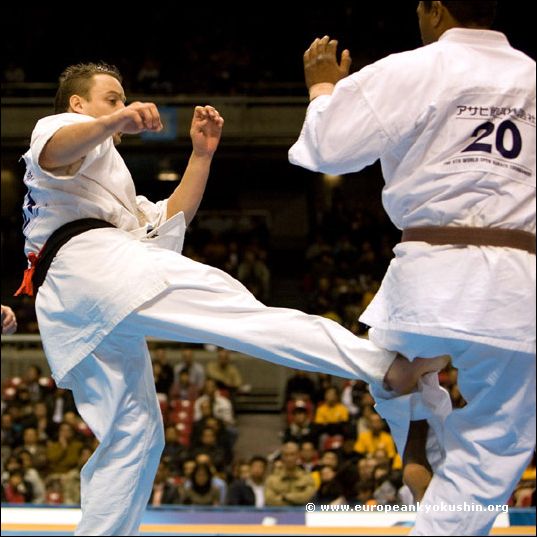 gedan-mawashi-geri