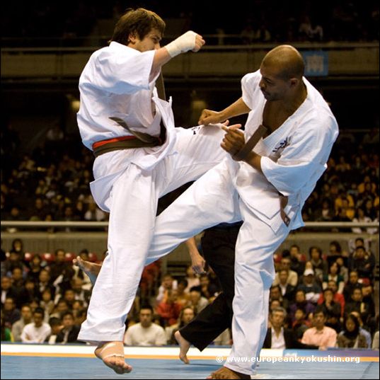 gedan-mawashi-geri