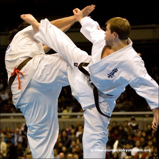 ushiro-mawashi-geri