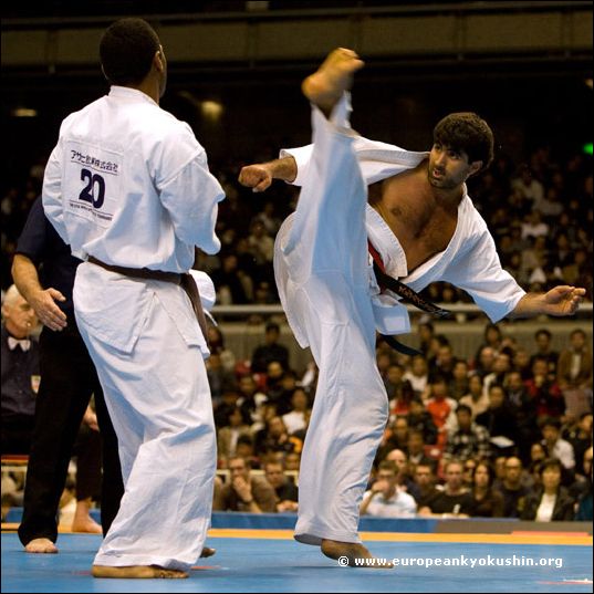 ushiro-mawashi-geri
