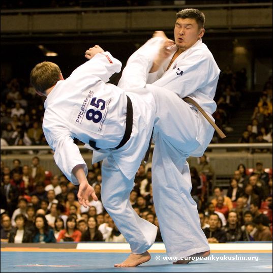 ushiro-mawashi-geri