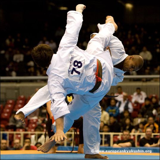 tobi<br>ushiro-mawashi-geri