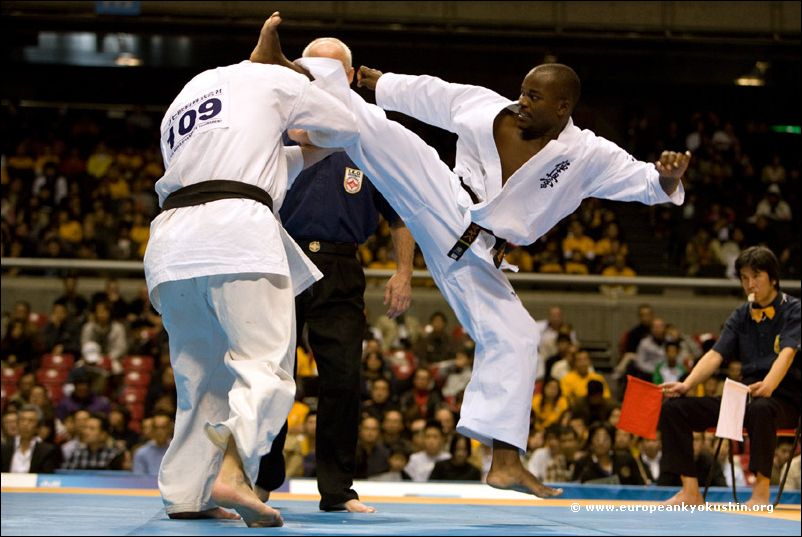 tobi<br>ushiro-mawashi-geri