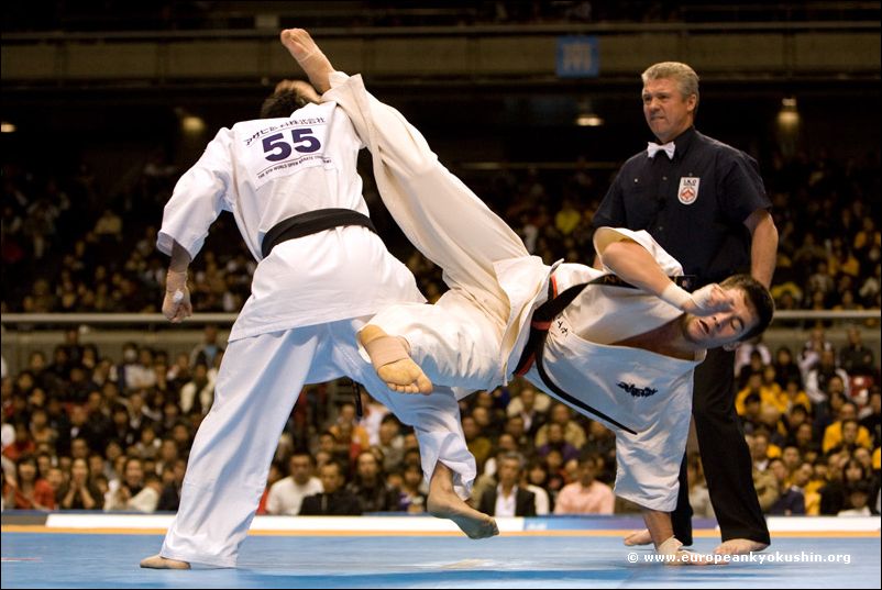 tobi<br>ushiro-mawashi-geri