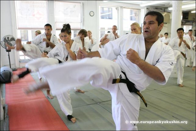 Sensei Dorel Bulearca