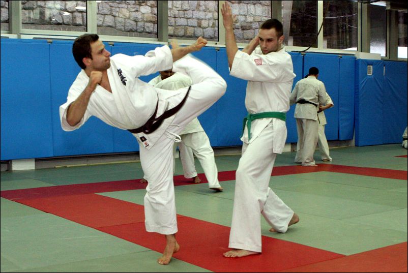 Michal Werner<br>Jodan-mawashi-geri