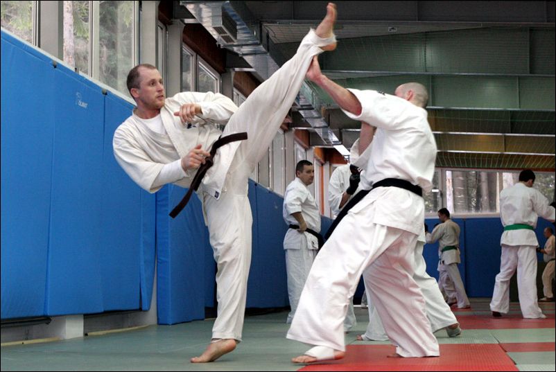 Piotr Sawicki<br>Ushiro-mawashi-geri