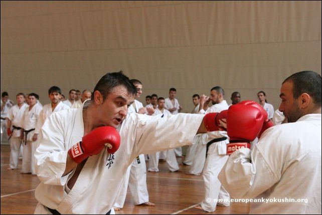 Sensei Asenov