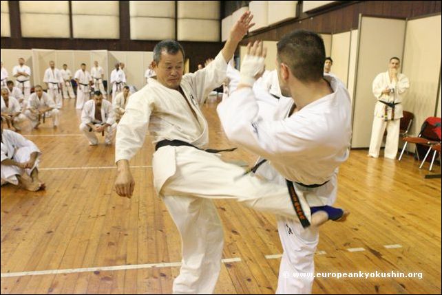 Gedan-mawashi-geri