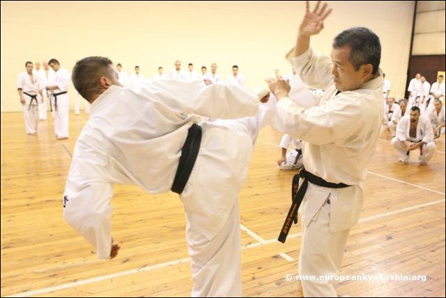 Ushiro-mawashi-geri