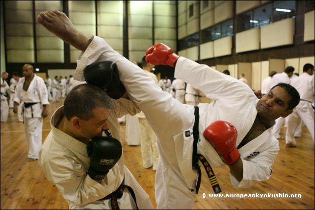 Shihan Bulearca<br>Romania