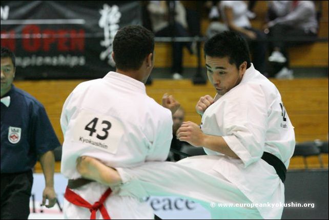 chudan-mawashi-geri