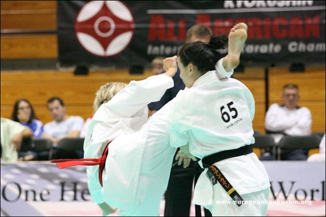 ushiro-mawashi-geri