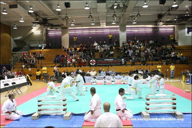 NYC Dojo Kids<br>Demonstration