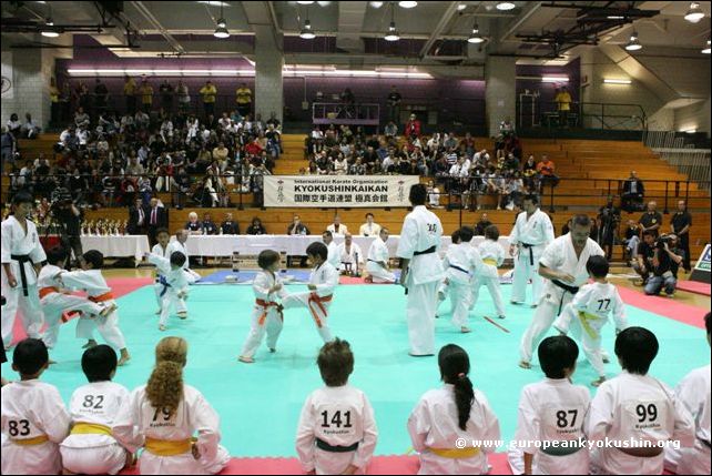 NYC Dojo Kids<br>Demonstration