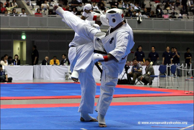 ushiro-mawashi-geri