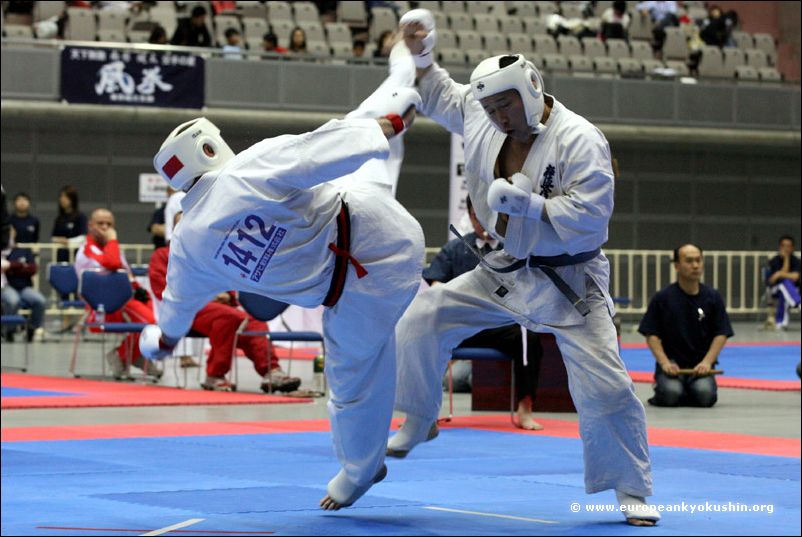 tobi-ushiro-mawashi-geri