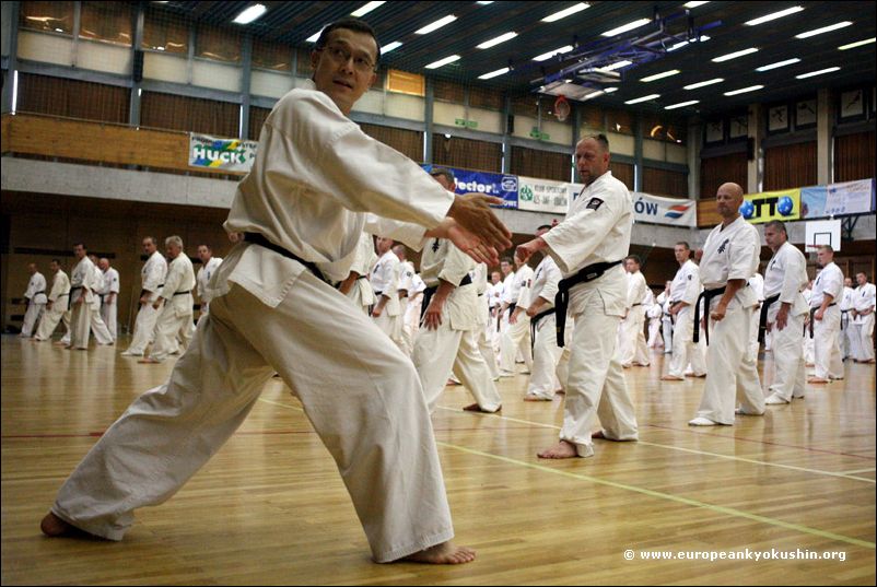 Shihan explaining