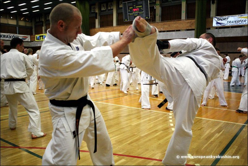 Krzysztof Habraszka<br>jodan-mawashi-geri