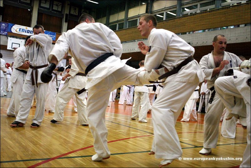 Tomasz Kecko<br>ushiro-mawashi-geri