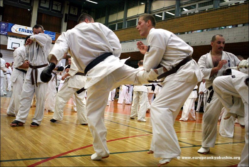 Tomasz Kecko<br>ushiro-mawashi-geri