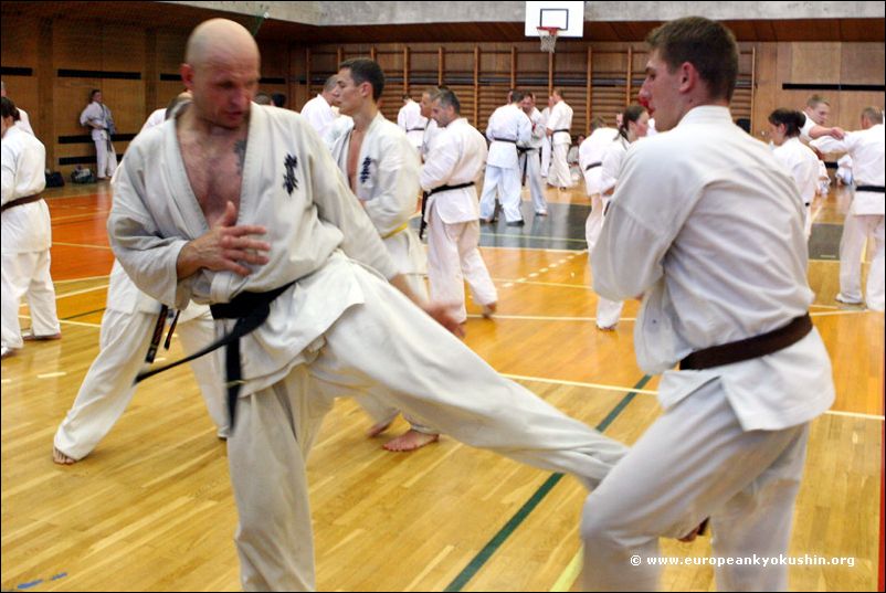 gedan-mawashi-geri