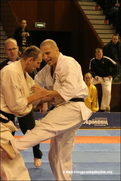 gedan-mawashi-geri