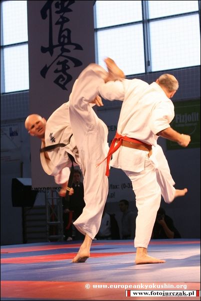 ushiro-mawashi-geri