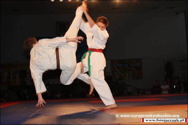 tobi-ushiro-<br>mawashi-geri