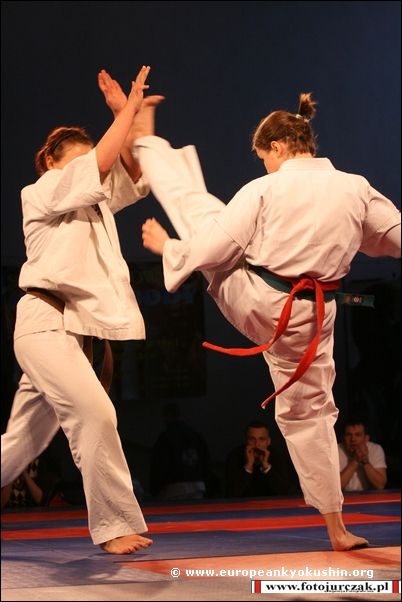 kakato-otoshi-geri