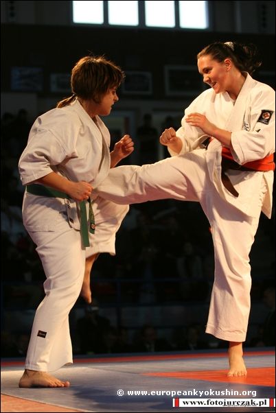 chudan-mawashi-geri