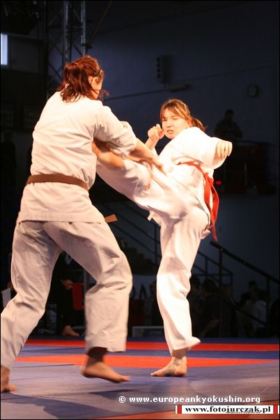 chudan-mawashi-geri