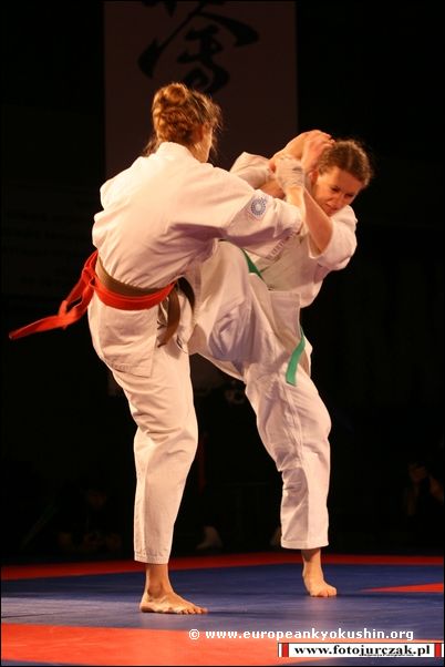 jodan-mawashi-geri